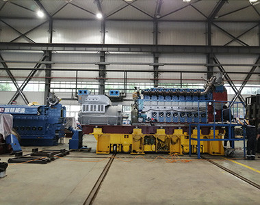 4 units 1550kw/10.5kv/6 pole EvoTec High-Voltage Generator applied to Panzhou Hongdavas Power Station Project in Guizhou Province  